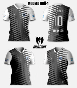 MODELO 00Ñ-1