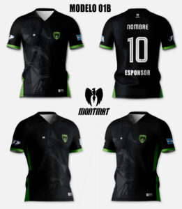 MODELO 01B