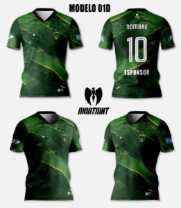 MODELO 01D