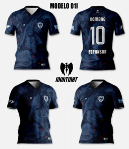 MODELO 01I