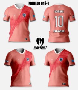 MODELO 01Ñ-1