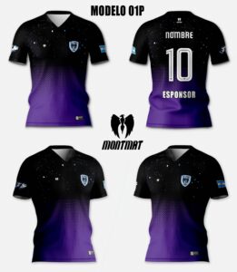 MODELO 01P