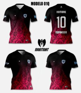 MODELO 01Q