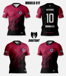 MODELO 01T